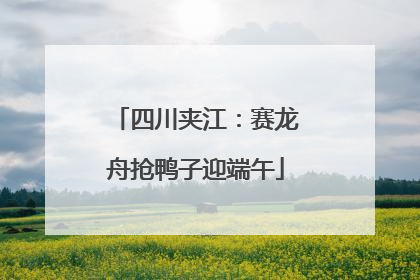 四川夹江：赛龙舟抢鸭子迎端午