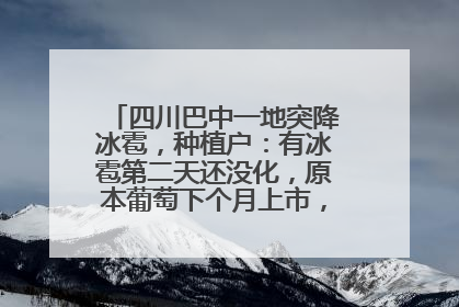 四川巴中一地突降冰雹，种植户：有冰雹第二天还没化，原本葡萄下个月上市，现在全被打落