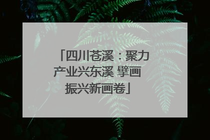 四川苍溪：聚力产业兴东溪 擘画振兴新画卷