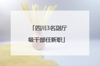 四川3名副厅级干部任新职