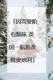 因驾驶舱有烟味 英国一航班改降奥地利