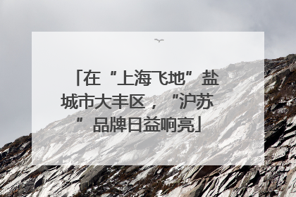 在“上海飞地”盐城市大丰区，“沪苏”品牌日益响亮