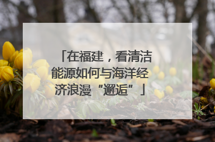 在福建，看清洁能源如何与海洋经济浪漫“邂逅”