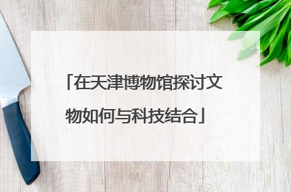 在天津博物馆探讨文物如何与科技结合