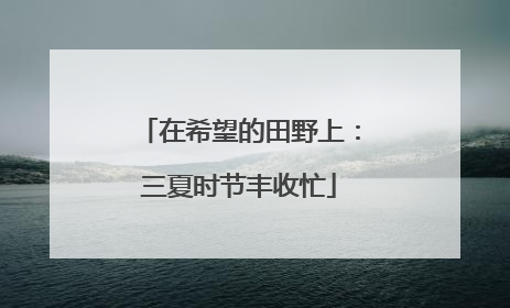 在希望的田野上：三夏时节丰收忙