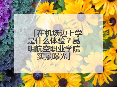 在机场边上学是什么体验？昆明航空职业学院实景曝光