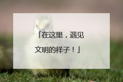 在这里，遇见文明的样子！
