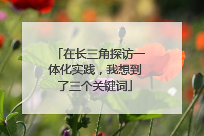 在长三角探访一体化实践，我想到了三个关键词