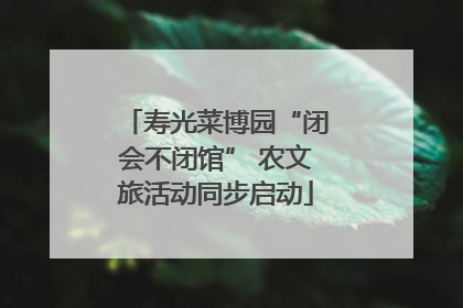 寿光菜博园“闭会不闭馆” 农文旅活动同步启动