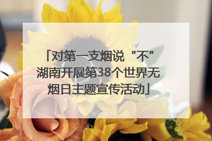 对第一支烟说“不” 湖南开展第38个世界无烟日主题宣传活动