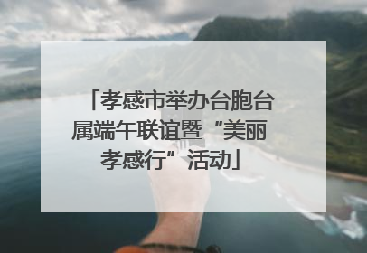 孝感市举办台胞台属端午联谊暨“美丽孝感行”活动