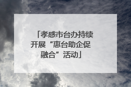 孝感市台办持续开展“惠台助企促融合”活动