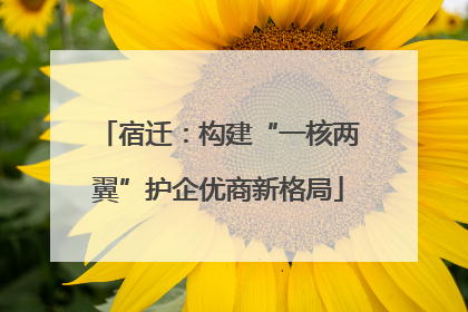 宿迁：构建“一核两翼”护企优商新格局
