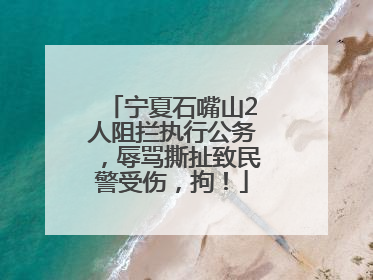 宁夏石嘴山2人阻拦执行公务，辱骂撕扯致民警受伤，拘！