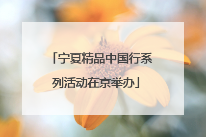宁夏精品中国行系列活动在京举办