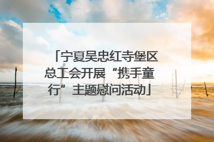 宁夏吴忠红寺堡区总工会开展“携手童行”主题慰问活动