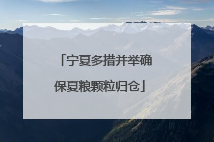 宁夏多措并举确保夏粮颗粒归仓