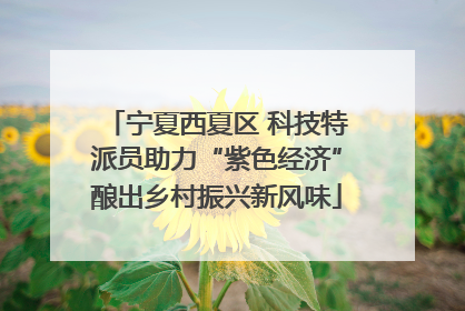 宁夏西夏区 科技特派员助力“紫色经济”酿出乡村振兴新风味