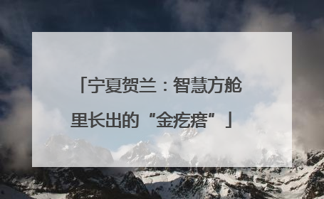 宁夏贺兰：智慧方舱里长出的“金疙瘩”
