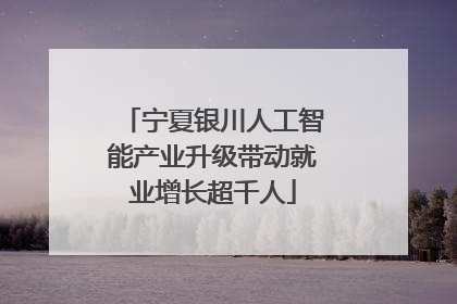 宁夏银川人工智能产业升级带动就业增长超千人