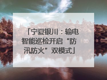 宁夏银川：输电智能巡检开启“防汛防火”双模式