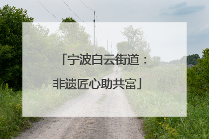 宁波白云街道：非遗匠心助共富