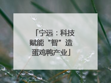 宁远：科技赋能“智”造蛋鸡鸭产业
