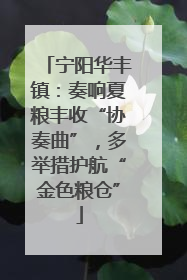 宁阳华丰镇：奏响夏粮丰收“协奏曲”，多举措护航“金色粮仓”