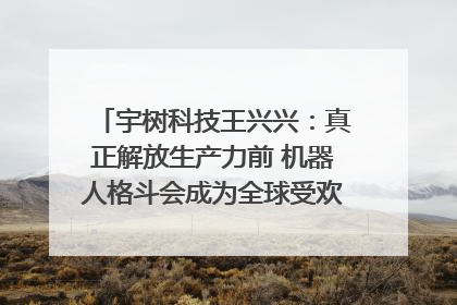 宇树科技王兴兴：真正解放生产力前 机器人格斗会成为全球受欢迎的赛事｜科技观察