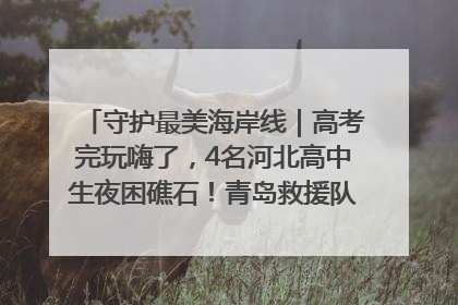 守护最美海岸线｜高考完玩嗨了，4名河北高中生夜困礁石！青岛救援队火速出动救上岸