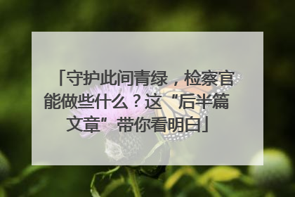 守护此间青绿，检察官能做些什么？这“后半篇文章”带你看明白