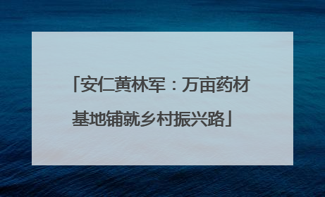 安仁黄林军：万亩药材基地铺就乡村振兴路