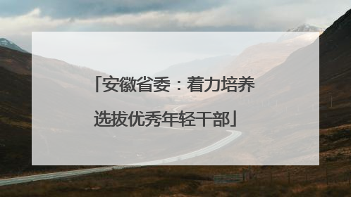 安徽省委：着力培养选拔优秀年轻干部