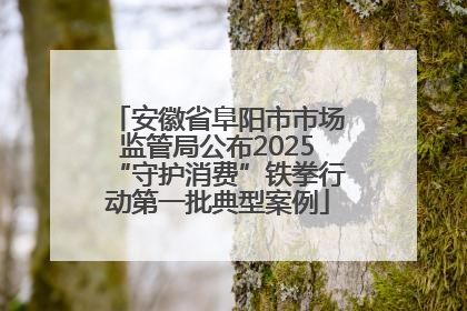 安徽省阜阳市市场监管局公布2025“守护消费”铁拳行动第一批典型案例