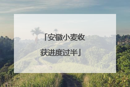 安徽小麦收获进度过半
