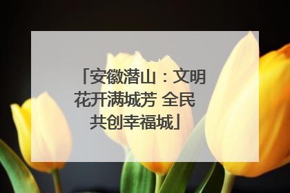 安徽潜山：文明花开满城芳 全民共创幸福城