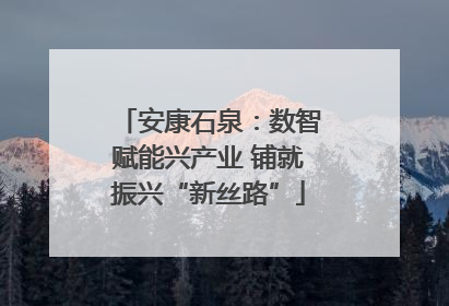 安康石泉：数智赋能兴产业 铺就振兴“新丝路”