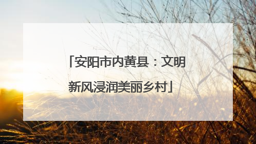 安阳市内黄县：文明新风浸润美丽乡村