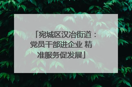 宛城区汉冶街道：党员干部进企业 精准服务促发展