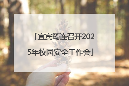 宜宾筠连召开2025年校园安全工作会
