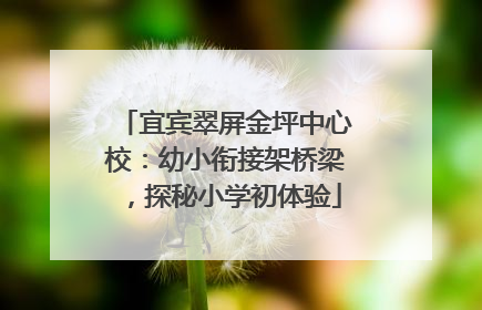 宜宾翠屏金坪中心校：幼小衔接架桥梁，探秘小学初体验