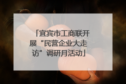 宜宾市工商联开展“民营企业大走访”调研月活动