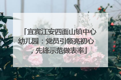 宜宾江安四面山镇中心幼儿园：党员引领亮初心，先锋示范做表率