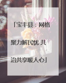 宝丰县：网格聚力解民忧 共治共享暖人心