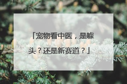 宠物看中医，是噱头？还是新赛道？