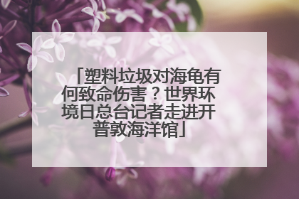 塑料垃圾对海龟有何致命伤害？世界环境日总台记者走进开普敦海洋馆