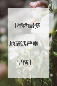 墨西哥多地遭遇严重旱情