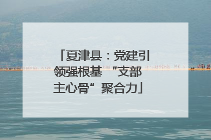 夏津县：党建引领强根基 “支部主心骨”聚合力