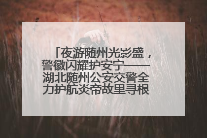 夜游随州光影盛，警徽闪耀护安宁——湖北随州公安交警全力护航炎帝故里寻根节夜游活动侧记
