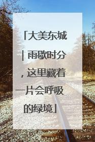 大美东城｜雨歇时分，这里藏着一片会呼吸的绿境